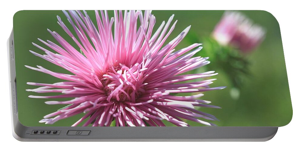Mccombie Portable Battery Charger featuring the photograph Aster named Unicum Rose #3 by J McCombie