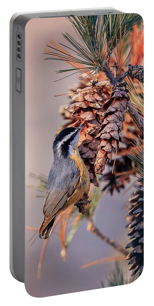 Adorable Portable Battery Charger featuring the photograph Black-capped Chickadee #4 by Peter Lakomy