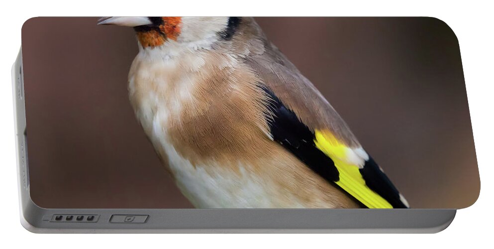 Goldfinch Portable Battery Charger featuring the photograph European goldfinch bird close up  #5 by Simon Bratt