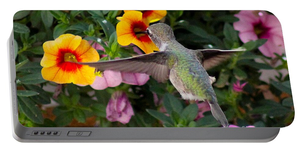 Hummingbird Portable Battery Charger featuring the photograph Hummingbird #4 by SnapHound Photography