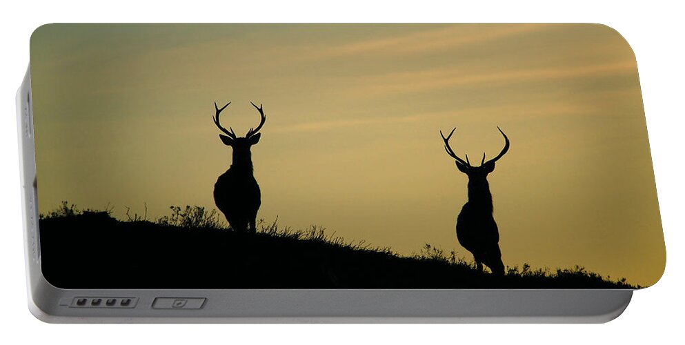 Stags Silhouette Portable Battery Charger featuring the photograph Red Deer Stags #4 by Gavin Macrae