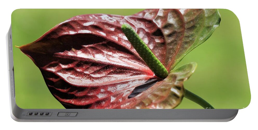 Mccombie Portable Battery Charger featuring the photograph Red Peace Lily #3 by J McCombie