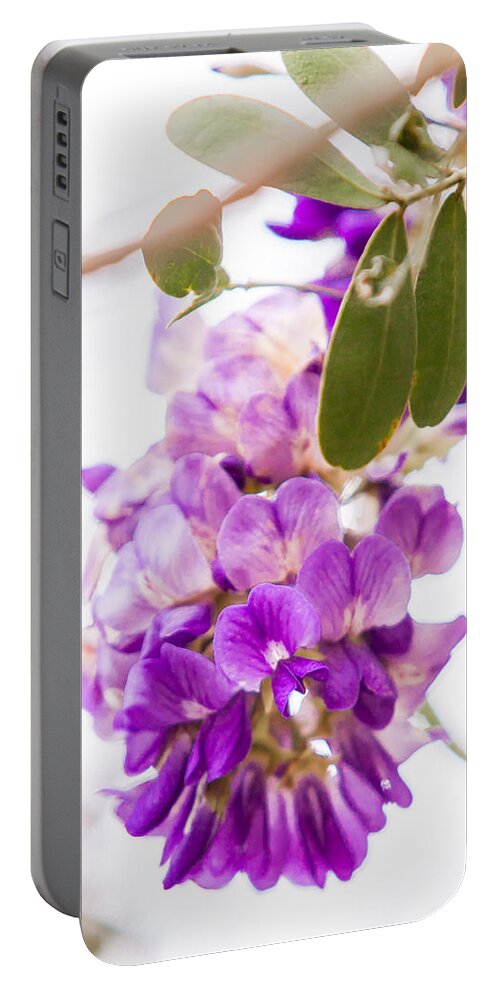 Country Portable Battery Charger featuring the photograph Study in Purple and Pink 2 by Melinda Ledsome