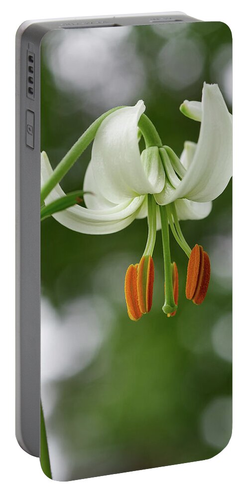 Finland Portable Battery Charger featuring the photograph Turk's cap lily #4 by Jouko Lehto