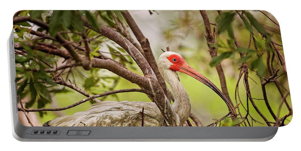 Albus Portable Battery Charger featuring the photograph White Ibis in Hilton Head Island #4 by Peter Lakomy