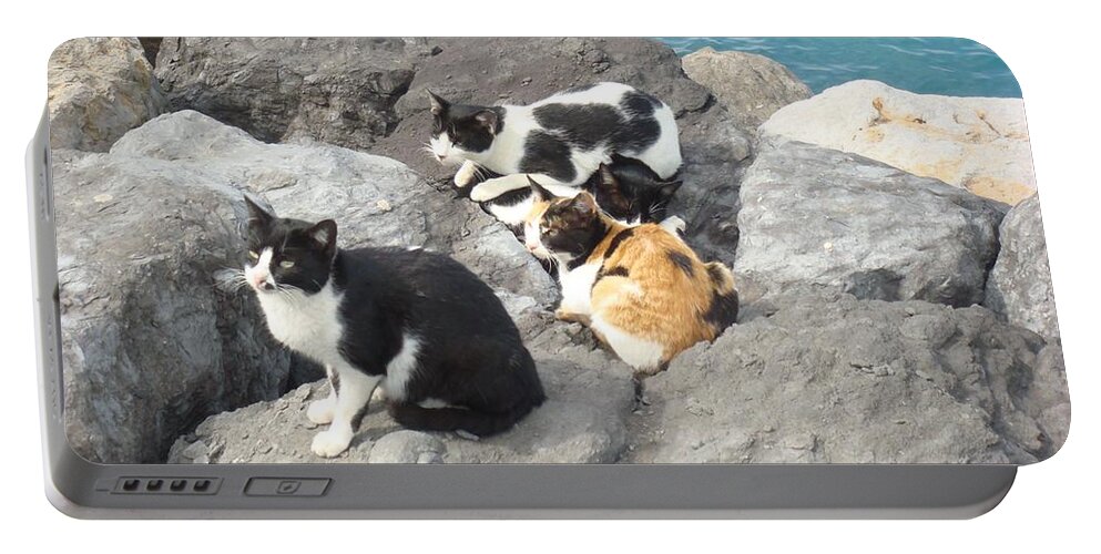 Cat Portable Battery Charger featuring the photograph Cat #42 by Jackie Russo