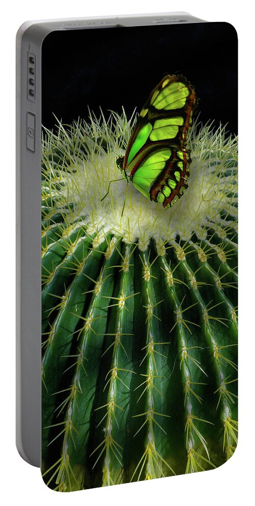 Animal Portable Battery Charger featuring the photograph 4409 by Peter Holme III