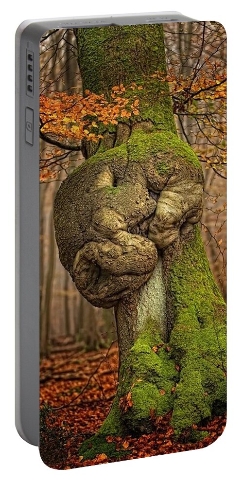 Tree Portable Battery Charger featuring the photograph Tree #46 by Jackie Russo