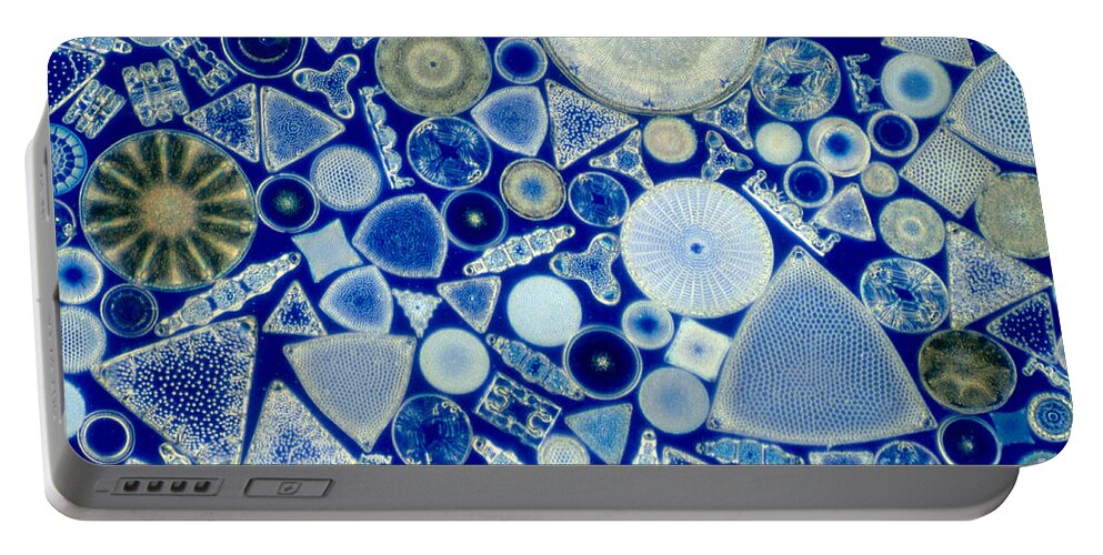 Diatom Portable Battery Charger featuring the photograph Diatoms by M. I. Walker