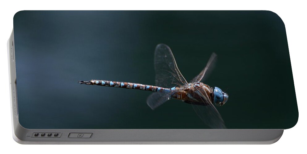 Blue Eyed Darner Dragonfly Portable Battery Charger featuring the photograph Fly By #5 by Fraida Gutovich