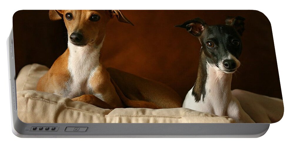 Editorial Portable Battery Charger featuring the photograph Italian Greyhounds #3 by Angela Rath