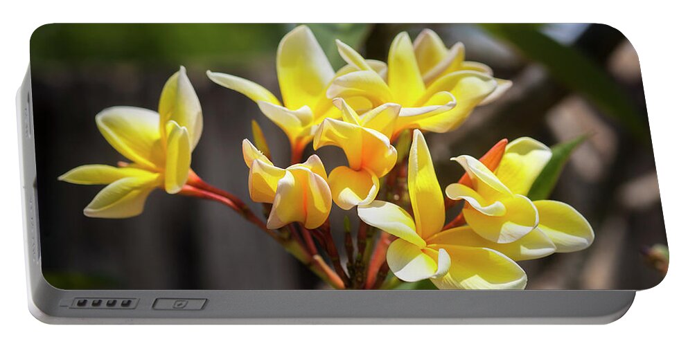 Flower Portable Battery Charger featuring the photograph Plumeria Frangipani Hawaiian Flower #5 by Rich Franco