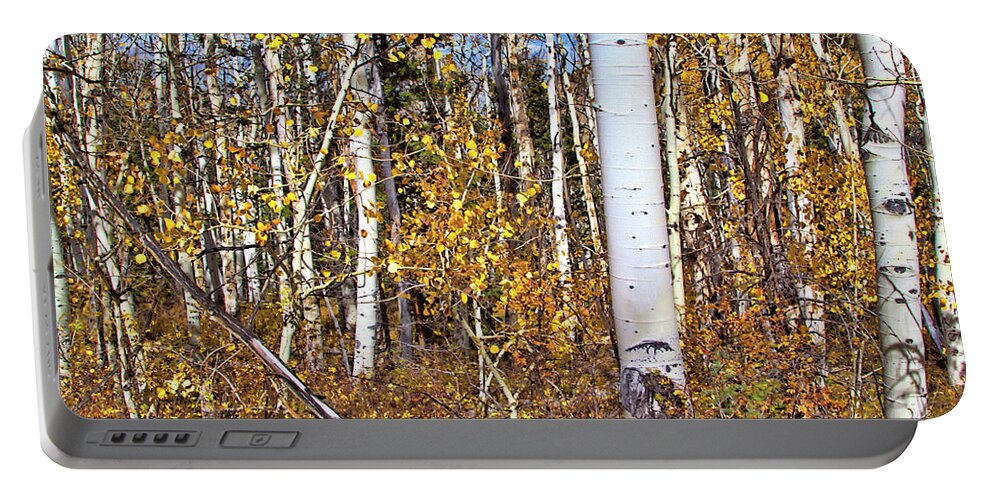 Autumn Portable Battery Charger featuring the photograph Rocky Mountain Fall #5 by Mark Smith