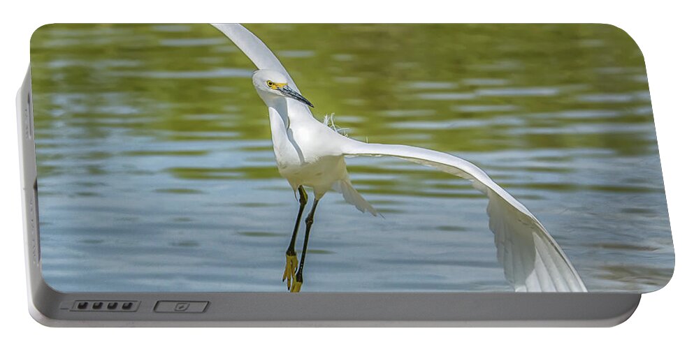 Snowy Portable Battery Charger featuring the photograph Snowy Egret Flight #5 by Tam Ryan