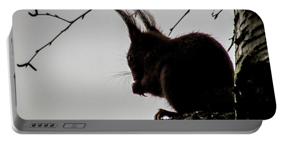 Bird Portable Battery Charger featuring the photograph Squirrel #5 by Cesar Vieira