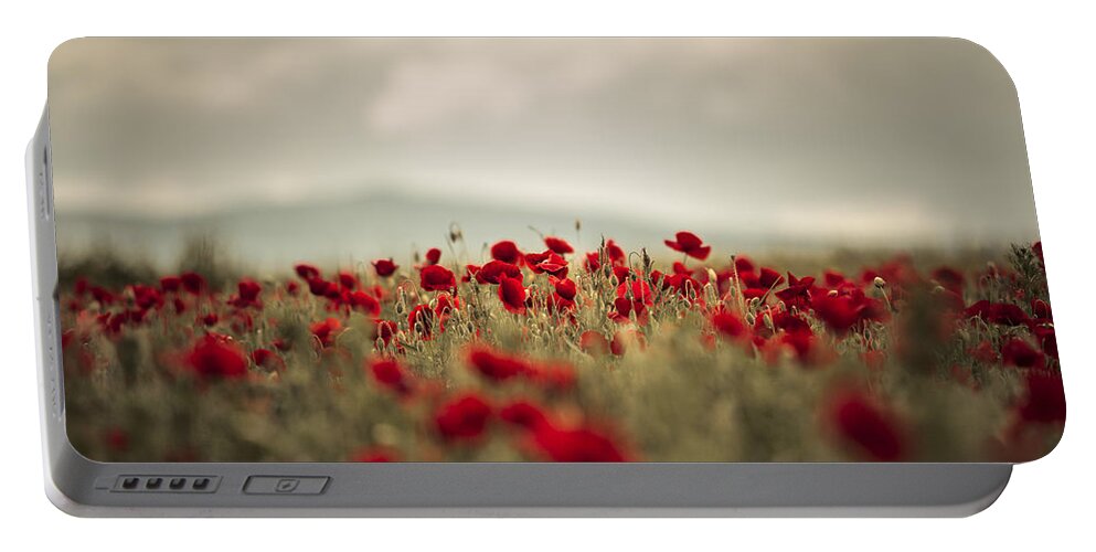 Poppy Portable Battery Charger featuring the photograph Summer Poppy Meadow by Nailia Schwarz