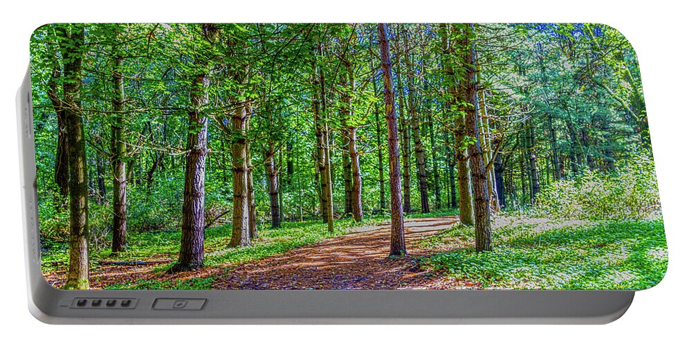 Trees Portable Battery Charger featuring the photograph The Path #5 by William Norton