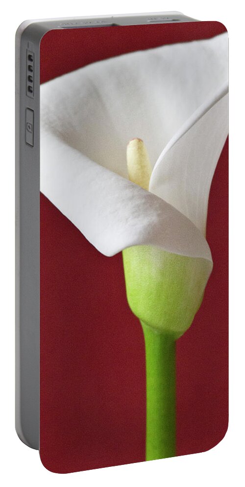 Calla Portable Battery Charger featuring the photograph White Calla #5 by Heiko Koehrer-Wagner