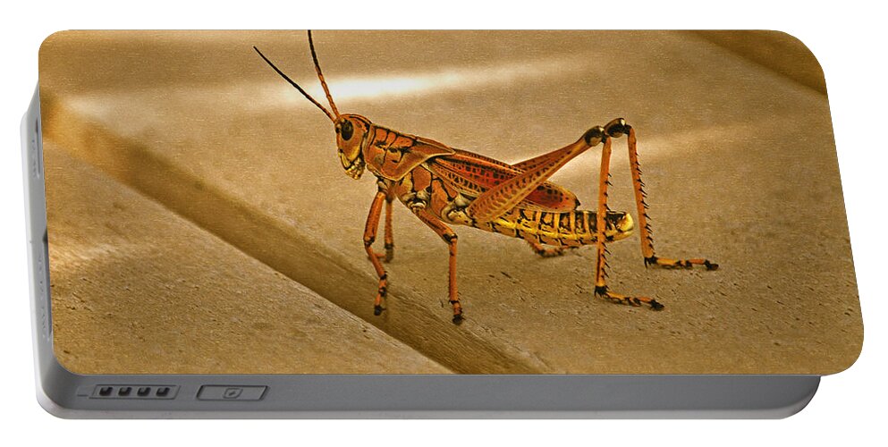 Lubber Grasshopper Portable Battery Charger featuring the photograph 58- Lubber Grasshopper by Joseph Keane