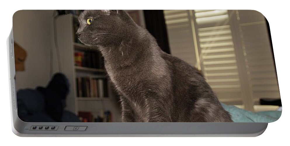 Cats Portable Battery Charger featuring the photograph Cat #6 by Karl Rose