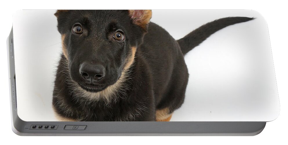 German Shepherd Dog Portable Battery Charger featuring the photograph German Shepherd Puppy #6 by Mark Taylor