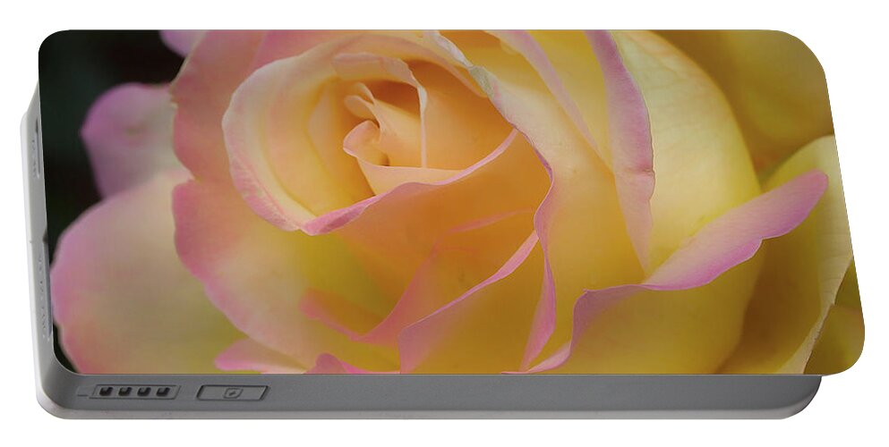 Nature Portable Battery Charger featuring the photograph Rose Beauty #6 by Shirley Mitchell