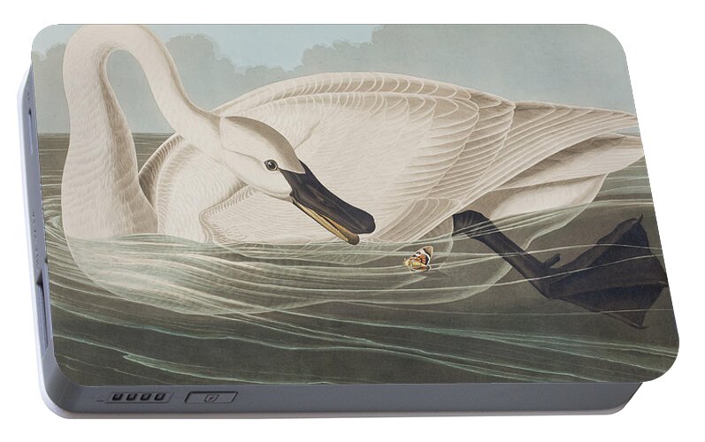 Swan Portable Battery Charger featuring the painting Trumpeter Swan by John James Audubon