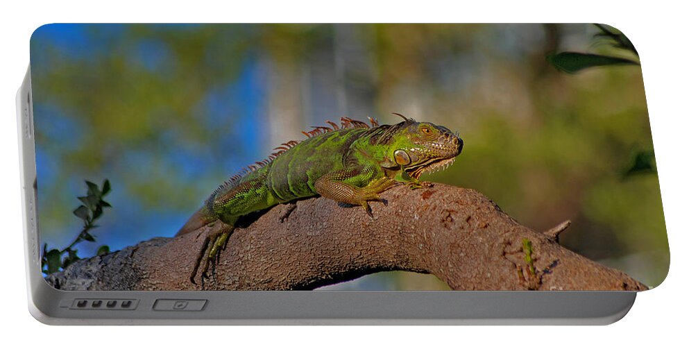 Green Iguana Portable Battery Charger featuring the photograph 60- Green Iguana by Joseph Keane