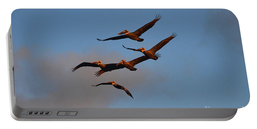 Pelicans Portable Battery Charger featuring the photograph 60- Pelican Patrol by Joseph Keane