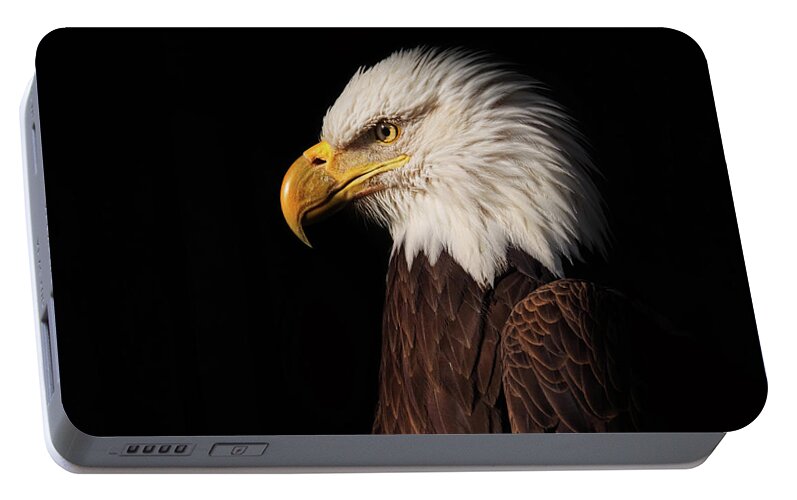 Animal Portable Battery Charger featuring the photograph Bald Eagle #7 by Brian Cross