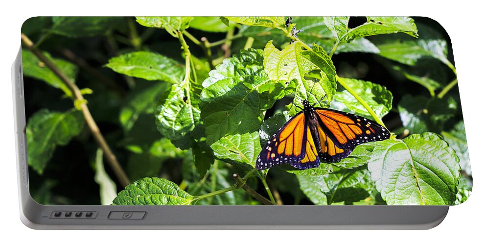 Butterfly Wonderland Portable Battery Charger featuring the photograph Butterfly #8 by Richard J Thompson