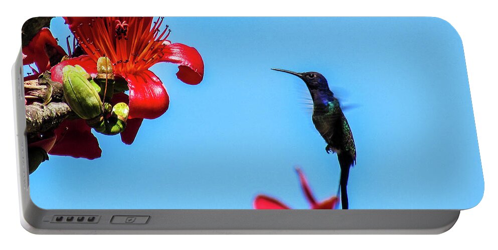 Hummingbird Portable Battery Charger featuring the photograph Hummingbird #7 by Cesar Vieira