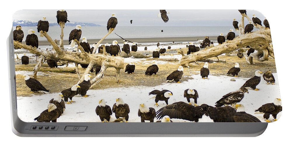 Bird Portable Battery Charger featuring the photograph Bird #72 by Jackie Russo