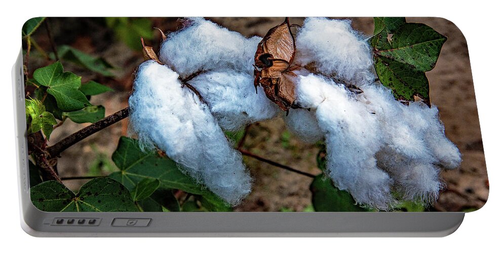 8 Bolls Of Cotton Prints Portable Battery Charger featuring the photograph 8 Bolls Of Cotton by John Harding