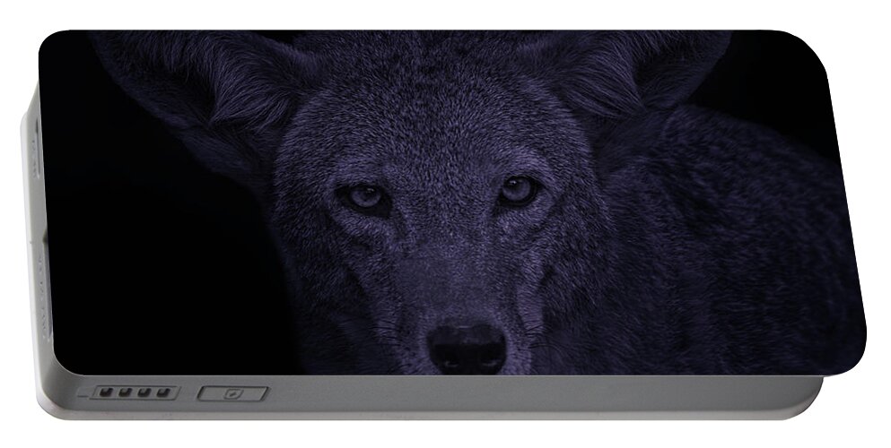 Animal Portable Battery Charger featuring the photograph Coyote #8 by Brian Cross