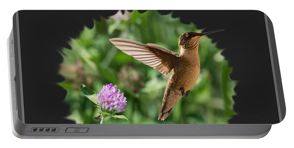 Hummingbird Portable Battery Charger featuring the photograph Hummingbird by Holden The Moment