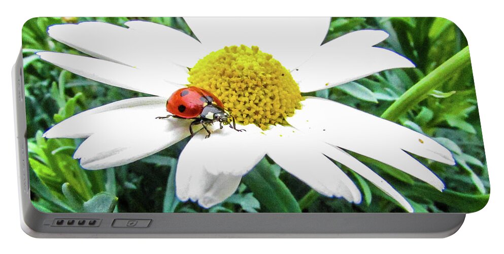 Daisy Flower Portable Battery Charger featuring the photograph Ladybug #8 by Cesar Vieira