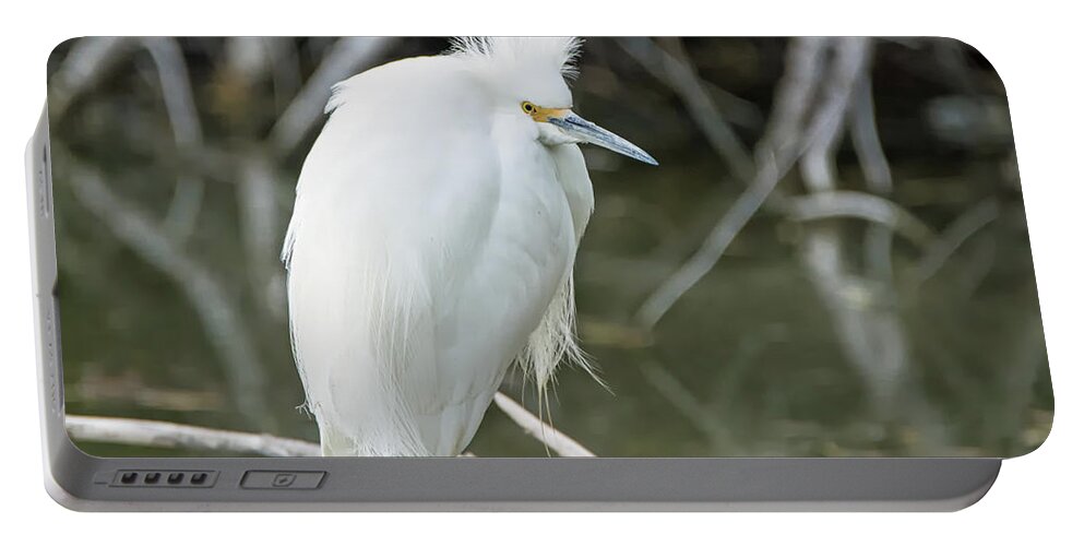Snowy Portable Battery Charger featuring the photograph Snowy Egret #90 by Tam Ryan