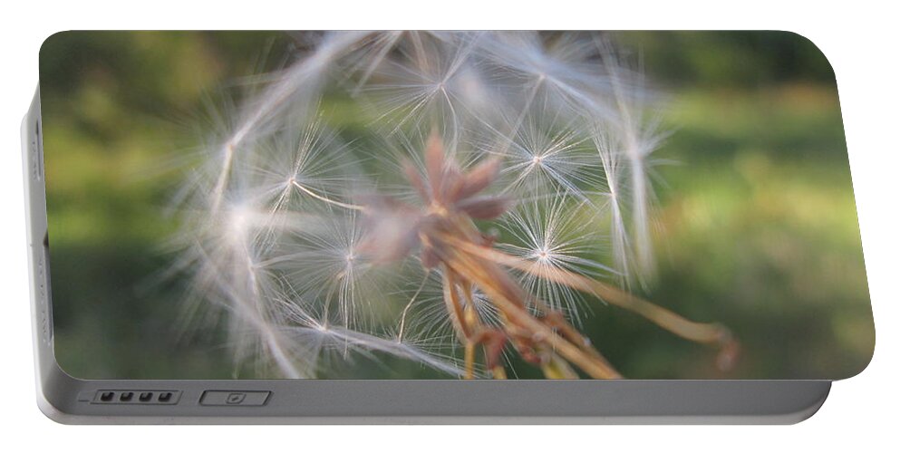 Dandelion Portable Battery Charger featuring the photograph Dandelion #9 by Mariel Mcmeeking