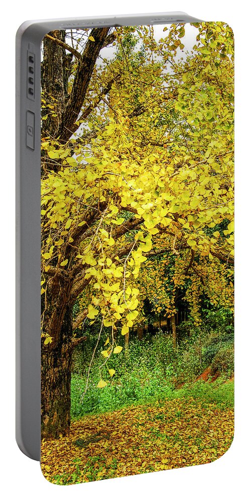 Yellow Portable Battery Charger featuring the photograph Ginkgo trees in autumn #9 by Carl Ning