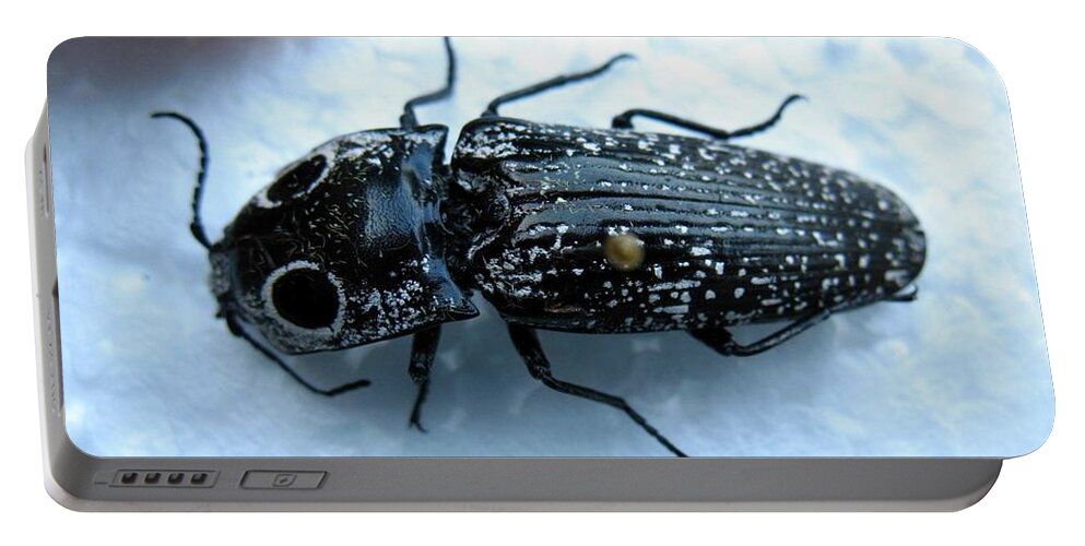Insect Portable Battery Charger featuring the photograph Insect #9 by Jackie Russo