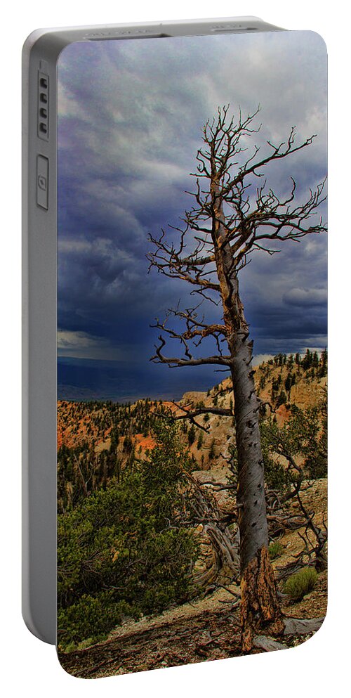 Bryce Canyon National Park Portable Battery Charger featuring the photograph Bryce Canyon National Park #90 by Mark Smith