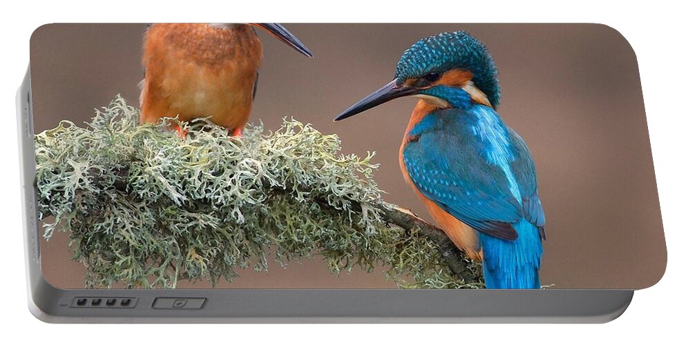 Bird Portable Battery Charger featuring the photograph Bird #91 by Jackie Russo