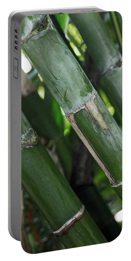 Bamboo Portable Battery Charger featuring the photograph A Bamboo Experience by Hany J