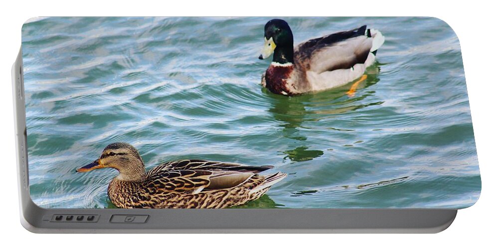 Wildlife River Duck Ducks Animal Waterfront Water Summer Usa America Virginia U.s.a Us Oldtown Alexandria Bird Birds Green Nature Landscape Photo Photography Portable Battery Charger featuring the digital art A Beautiful Couple by Jeanette Rode Dybdahl