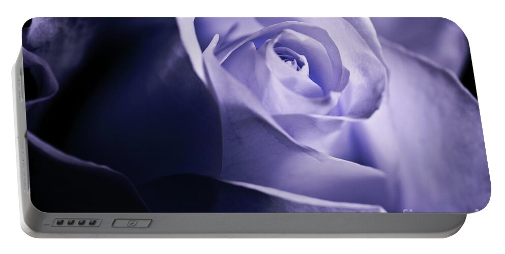White Rose Portable Battery Charger featuring the photograph A Beautiful purple rose by Micah May
