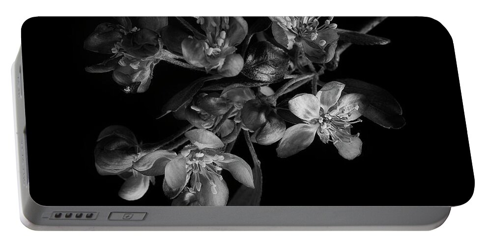 Flower Portable Battery Charger featuring the photograph A Black And White Spring by Mike Eingle