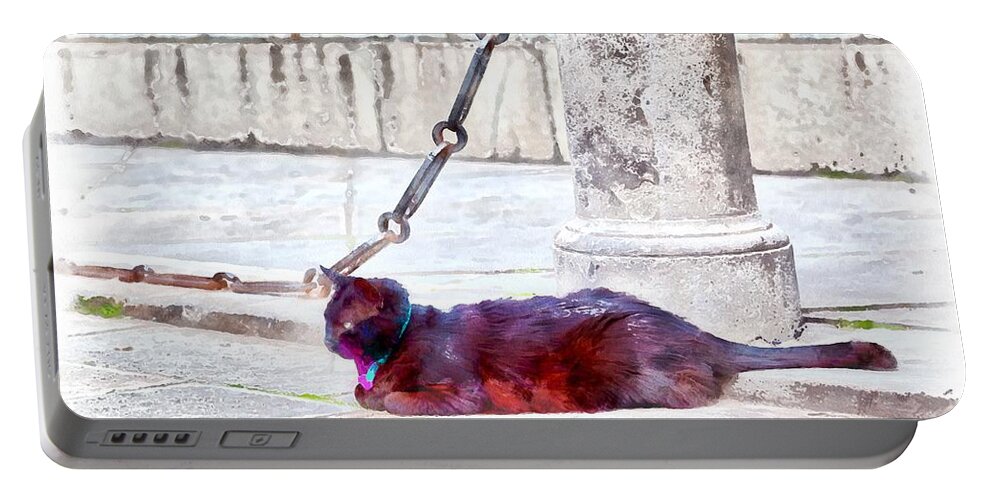 Black; Cat; Street; Road; Alley; Animal; Domestic Animal; Domestic Cat; Collar; Blue; Venice; Italy; Europe; Wonderful; Beautiful; Wild; Attentively; Nature; Naturally; Grey; Stone; Chain; Wall; Sidewalk; Eyes; Background Portable Battery Charger featuring the digital art A black cat with a blue-and-pink collar by Gina Koch