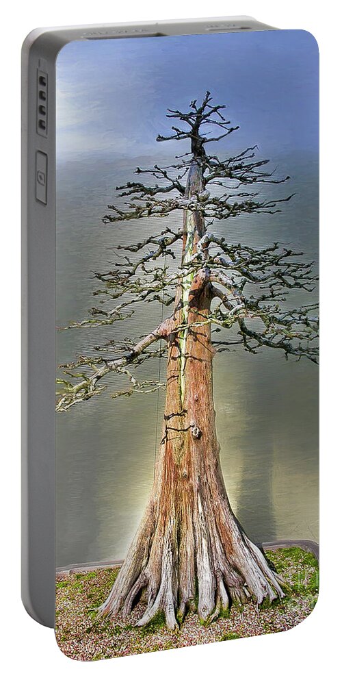 Bonsai Portable Battery Charger featuring the photograph A Brief History of theMetasequoia, 1941 - by Marilyn Cornwell