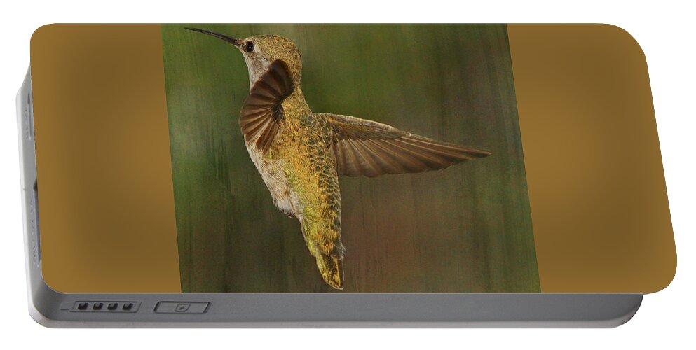 Hummingbird Portable Battery Charger featuring the photograph A Change of Direction by Theo O'Connor